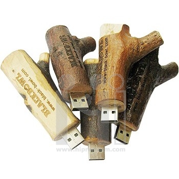 Wooden USB Flash Drive Ūԧ