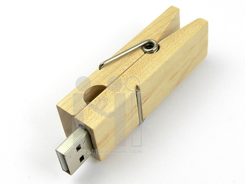 Wooden USB Flash Drive Ūٻ˹պ