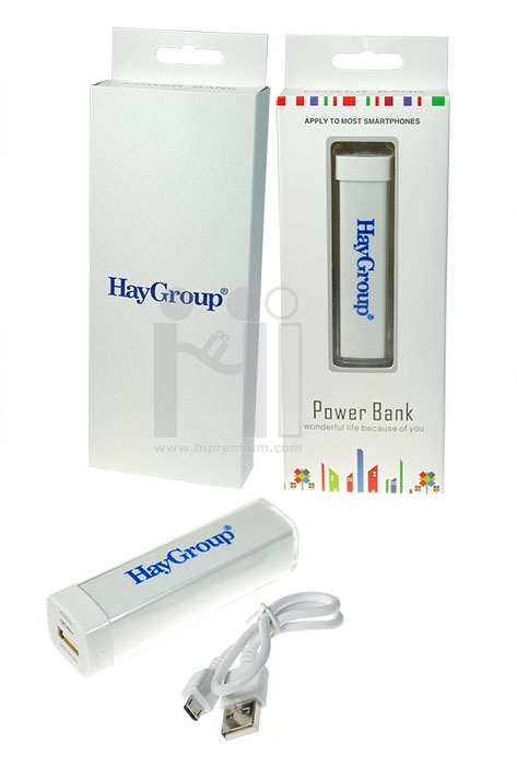 พาวเวอร์แบงค์ Hay Group Limited