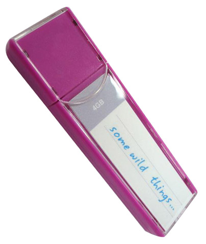 Flash Drive ดีไซน์ยุโรป , แฟลชไดร์ฟพรีเมี่ยม,แฟลชไดร์ฟพลาสติก,แฮนดี้ไดร์ฟพลาสติก,
Plastic Handy Drive,USB พรีเมี่ยม,ทรัมไดร์ พรีเมี่ยม