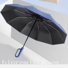 UM0077